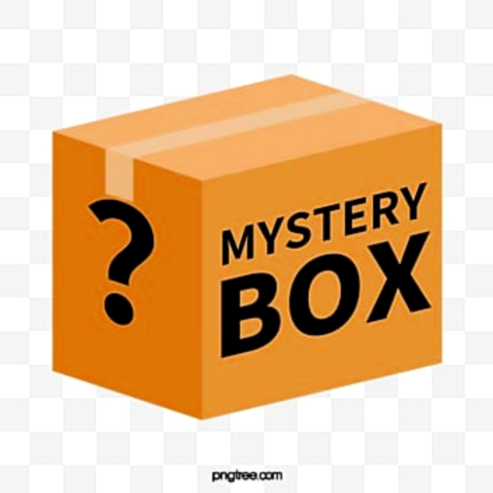 NWT Mystery Box
